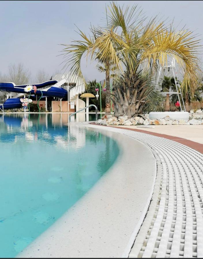 Dream Holidays *